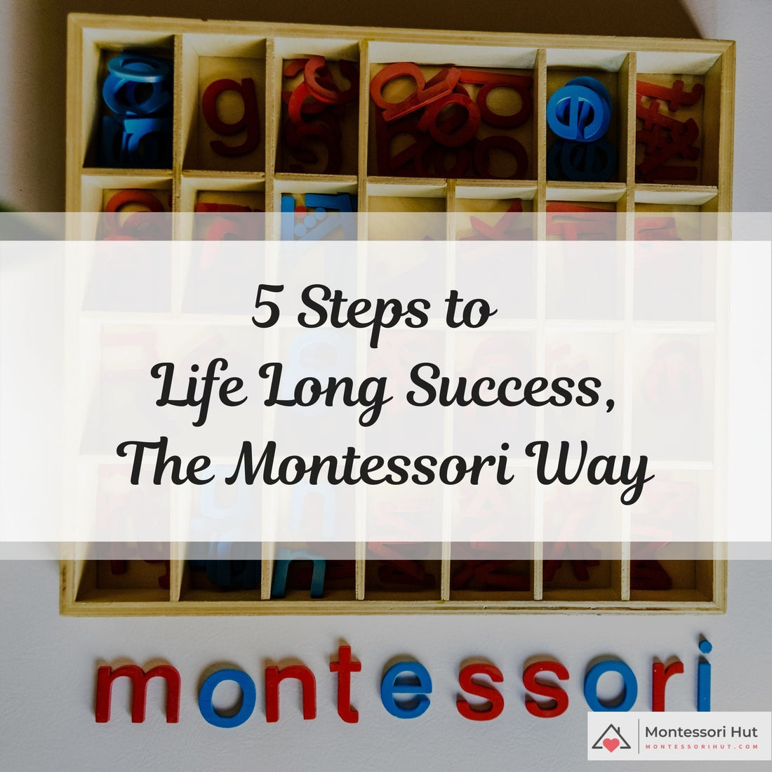 5 step to life long success, the Montessori way