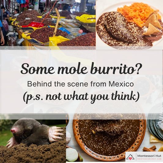 Mole burrito? Behind the scene from Mexico no.1
