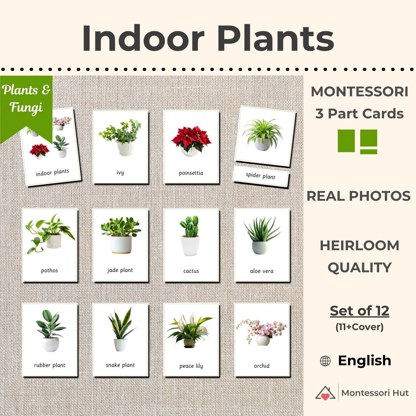 Indoor Plants Montessori 3 Part Cards - 12 Sets