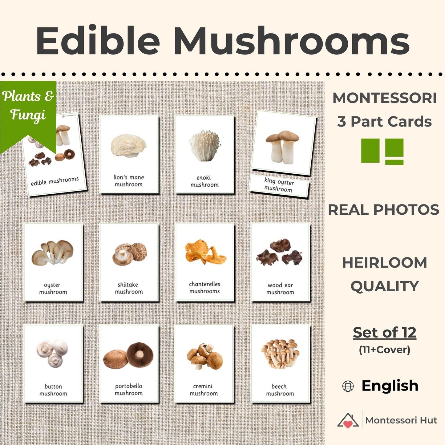 Edible Mushrooms Montessori 3 Part Cards - 12 Sets