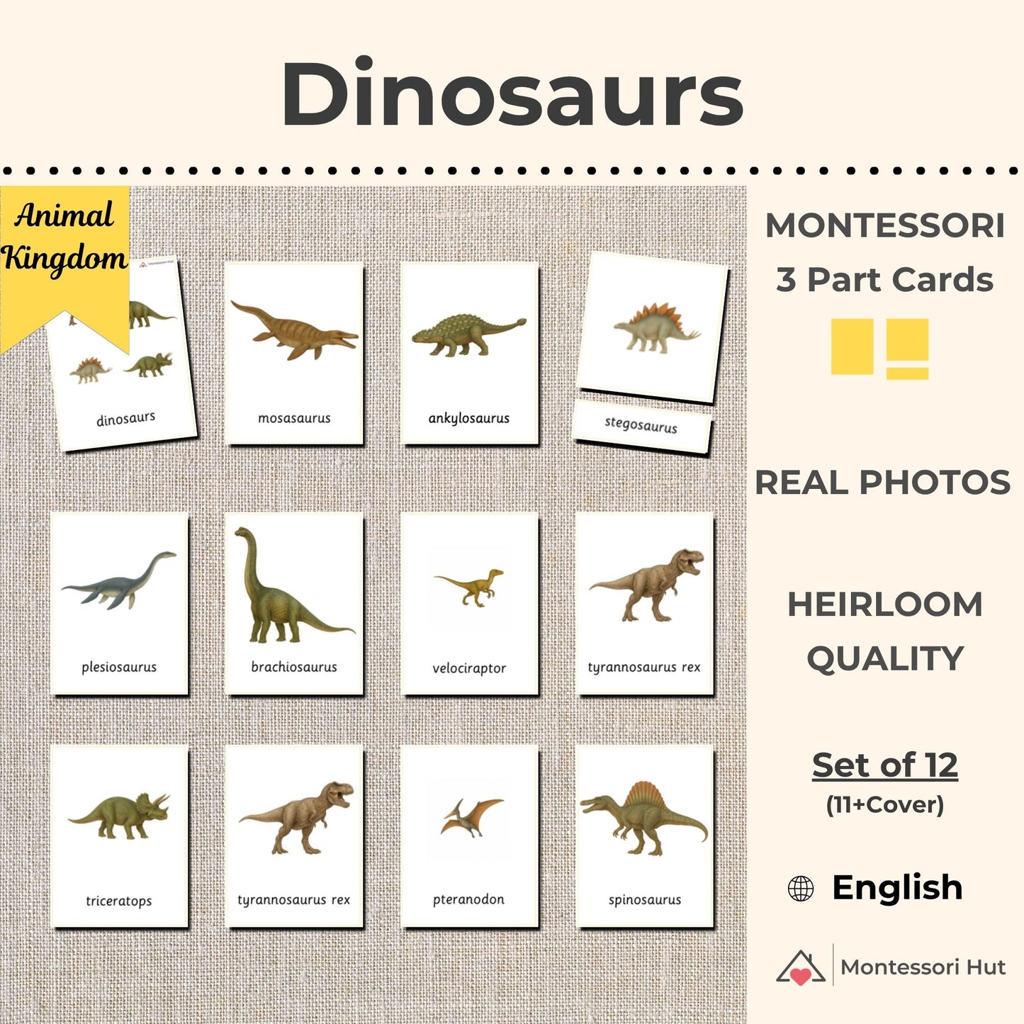 Dinosaurs Montessori 3 Part Cards - 12 Sets