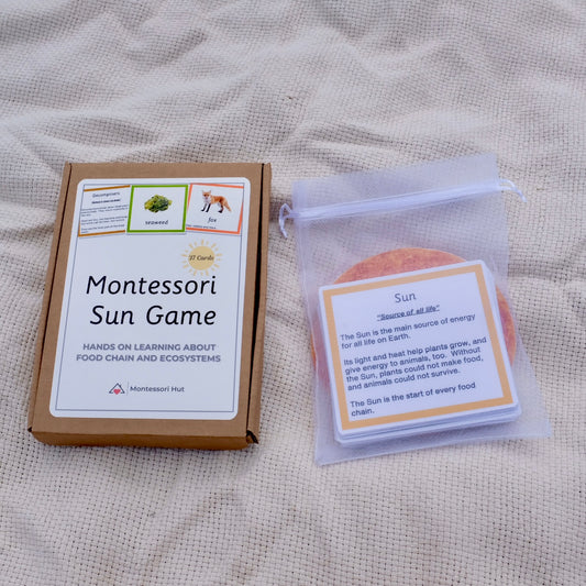 Montessori Sun Game – Food Chain and Ecosystem Learning Cards - Handmade Premium Quality