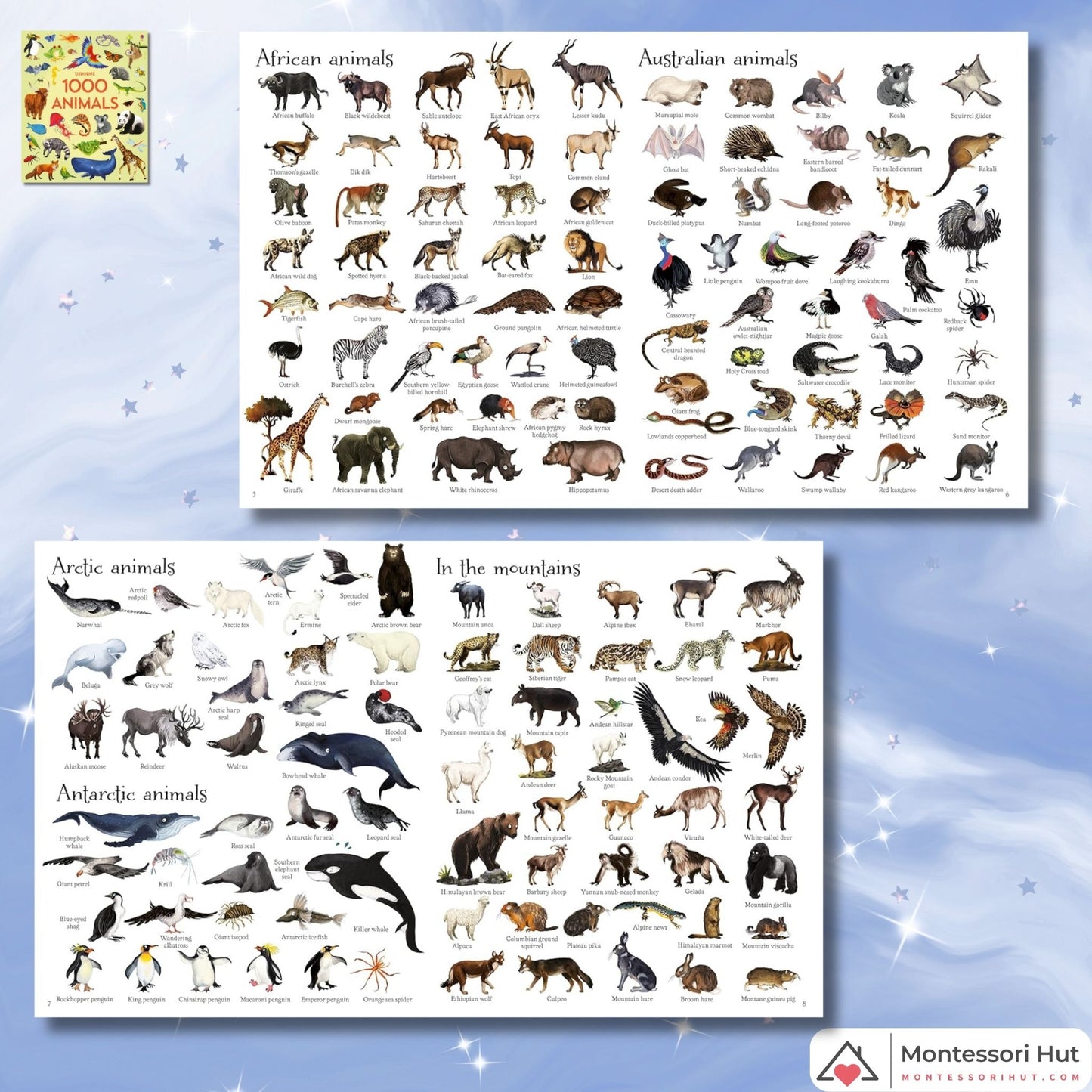 Animal Lovers, Visits to the Zoo - Montessori Book Bundle - Gift Wrap available