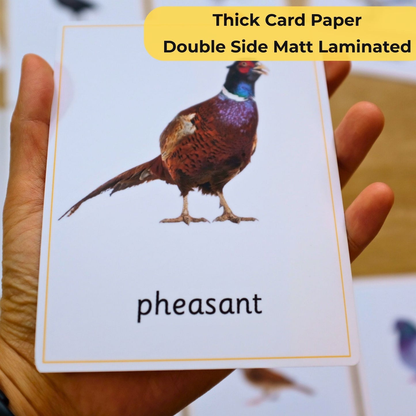 Card with a pheasant illustration and the word 'pheasant' on a white background.- Montessori 3 Part Cards Nomenclature Cards