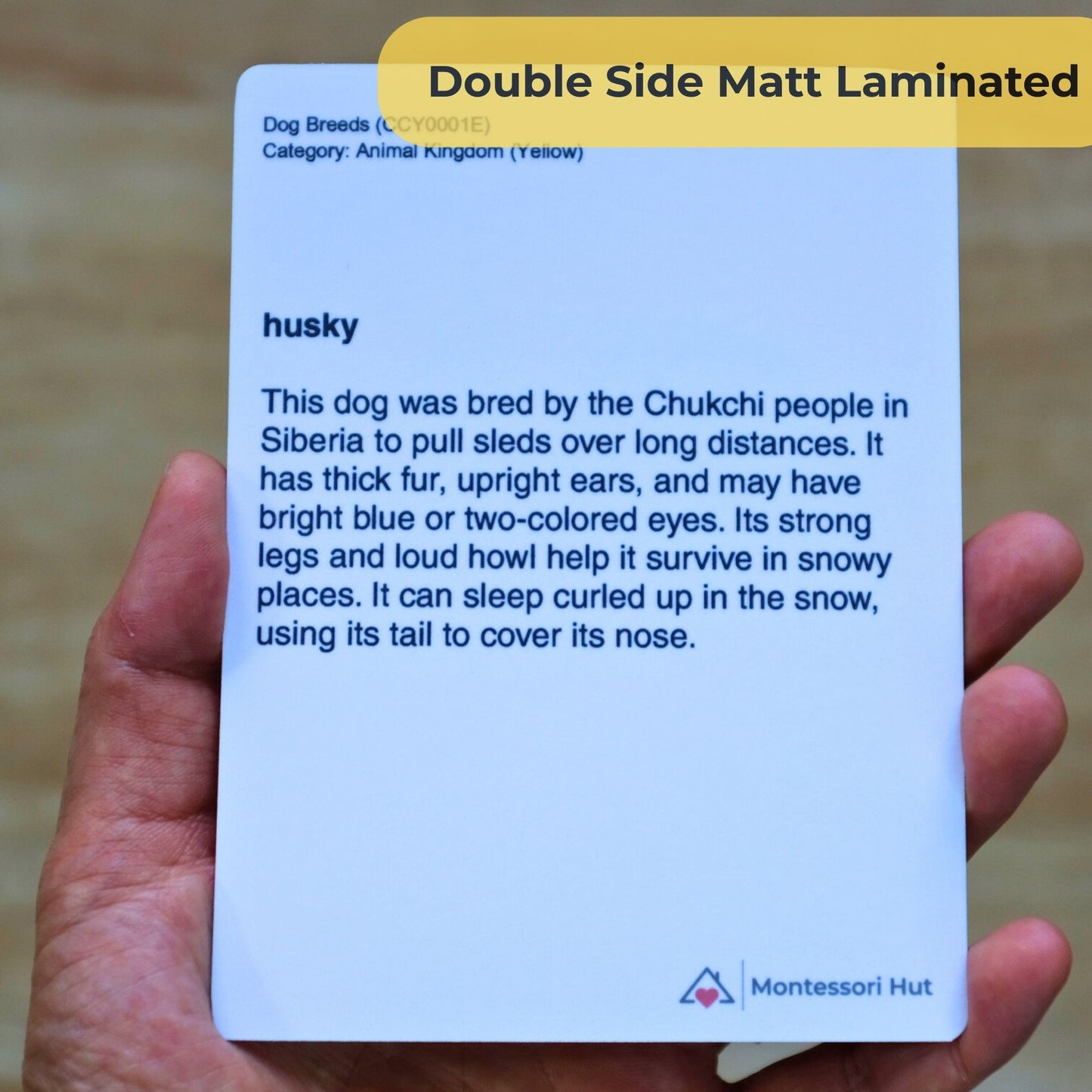 24 Dog Breeds Flash Cards with Facts - Educational Language Activity for Forest School, Montessori and Homeschools