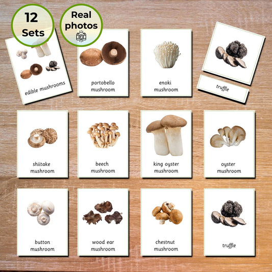 Edible Mushrooms Autumn Language Activities - Handmade Premium Montessori 3 Part Cards - 12 Sets