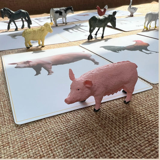 11 Farm Animals Montessori 3 Part Cards with Matching Miniature Figures- Montessori Education Activity for Home, Classrooms and Homeschools
