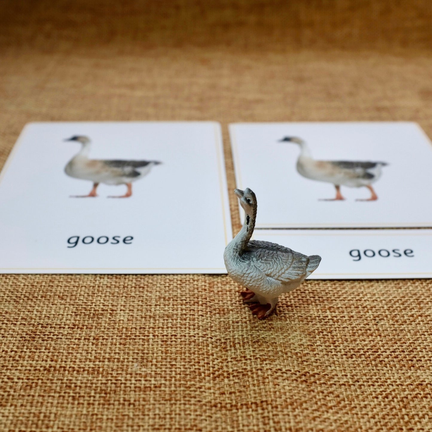 11 Farm Animals Montessori 3 Part Cards with Matching Miniature Figures- Montessori Education Activity for Home, Classrooms and Homeschools