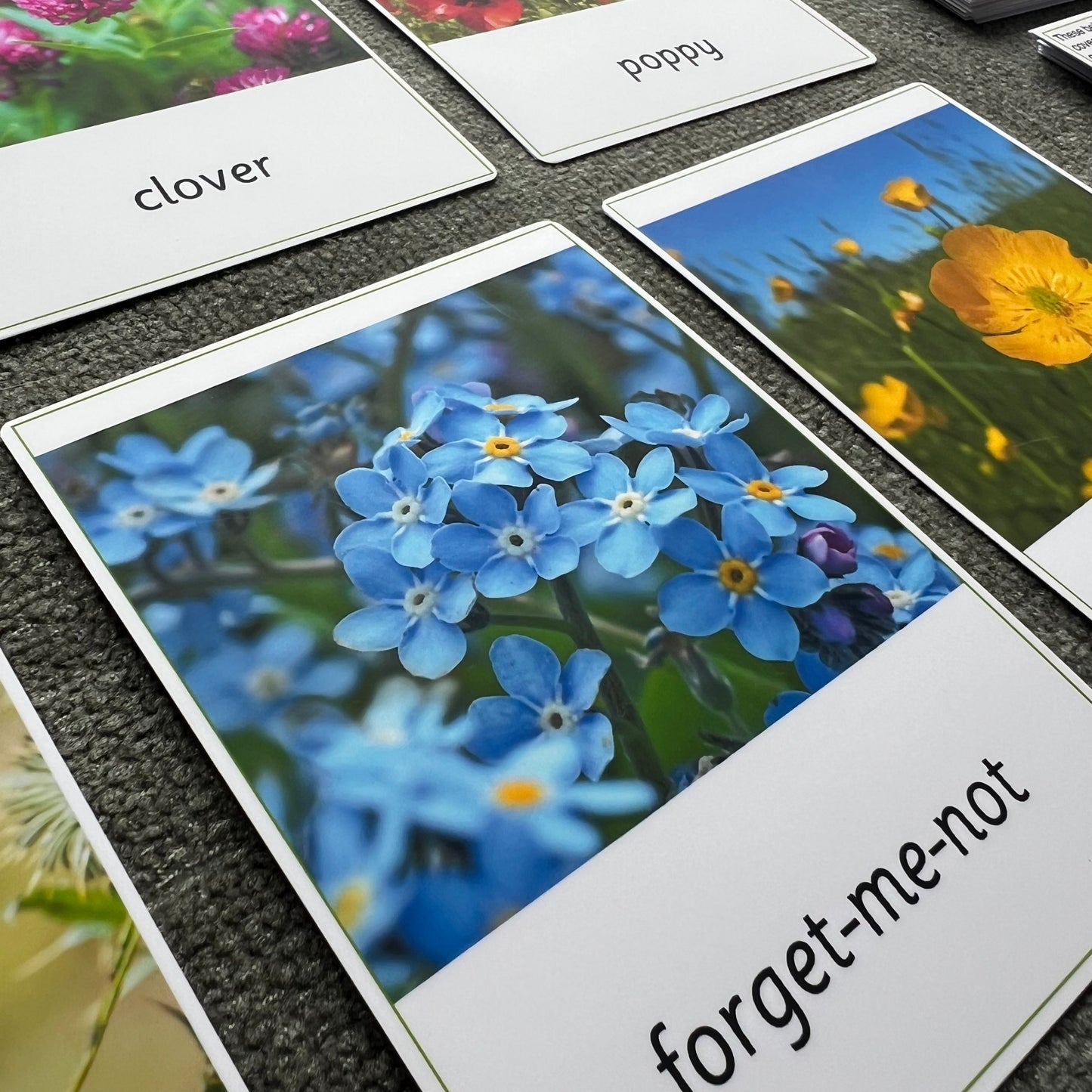15 Wild Flowers Montessori 3-Part Cards with Fact Cards - Educational Language Activity for Forest School, Montessori and Homeschools
