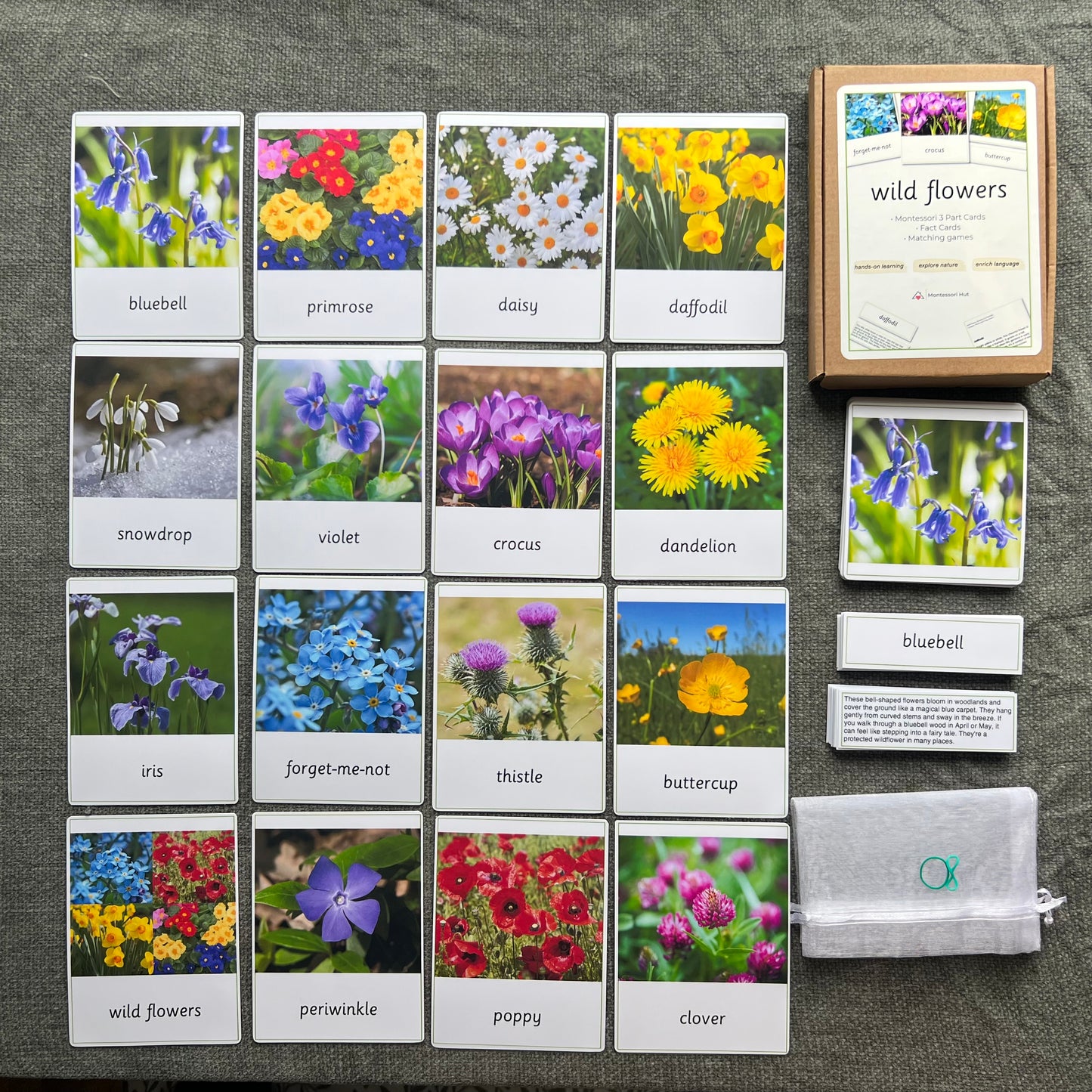 15 Wild Flowers Montessori 3-Part Cards with Fact Cards - Educational Language Activity for Forest School, Montessori and Homeschools