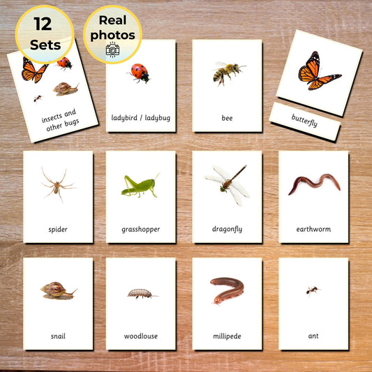 Insects and Other Bugs | Handmade Premium Montessori 3 Part Cards (12 Sets)