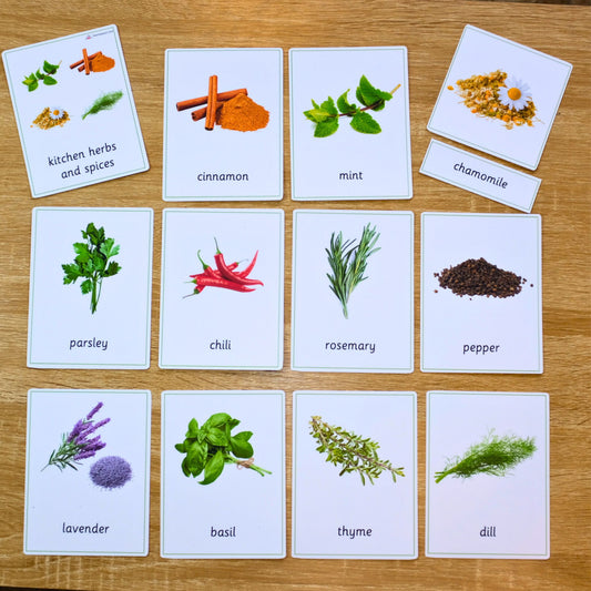 Educational cards with images of kitchen herbs and spices on a wooden surface