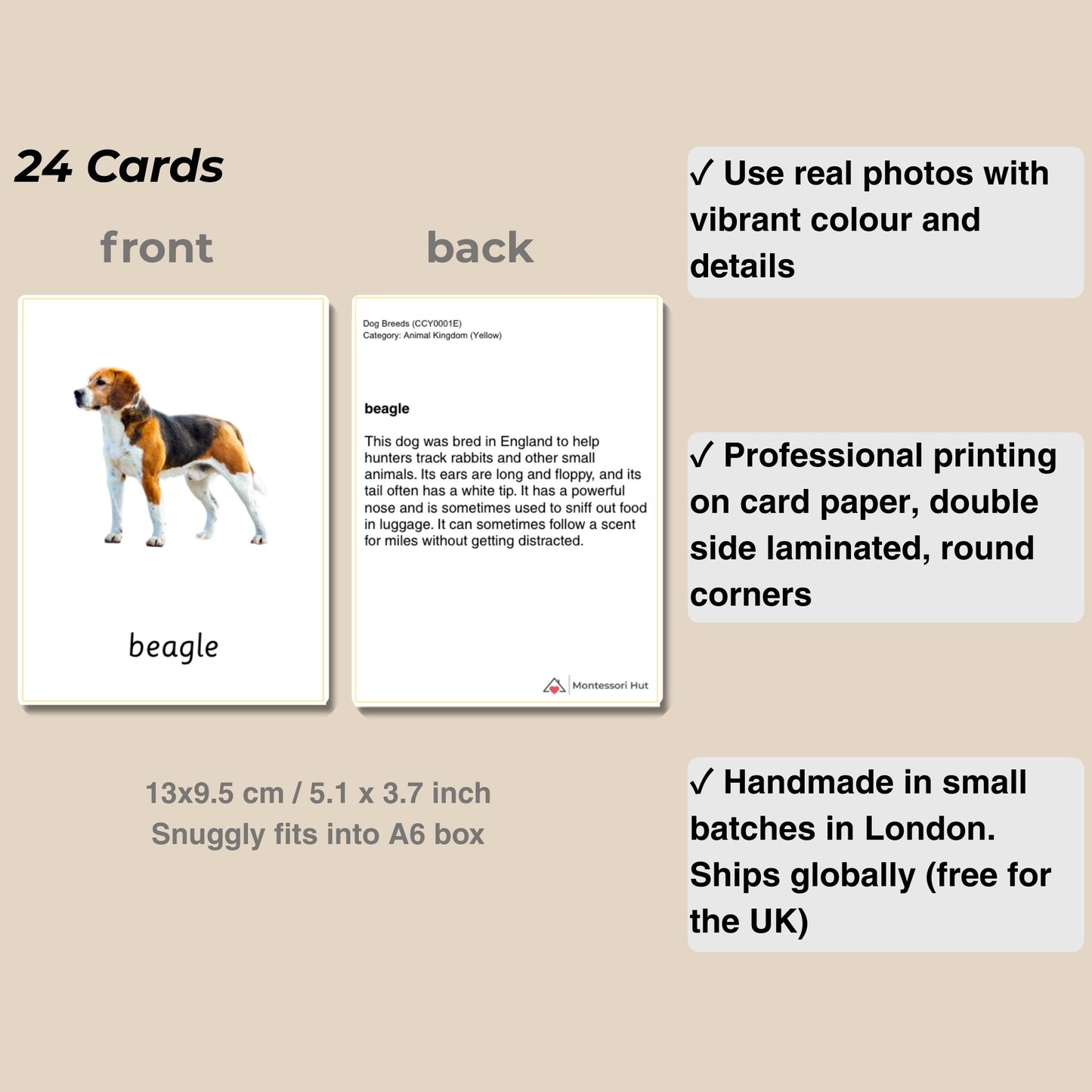 24 Dog Breeds Handmade Premium Vocabulary Cards with Facts - Educational Language Activity for Forest School, Montessori and Homeschools
