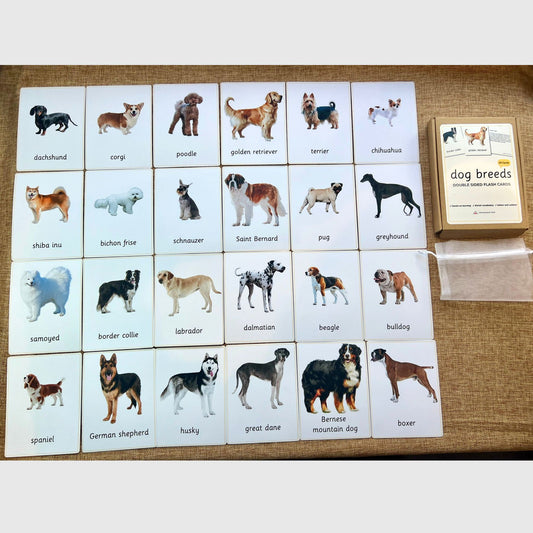 24 Dog Breeds Handmade Premium Vocabulary Cards with Facts - Educational Language Activity for Forest School, Montessori and Homeschools