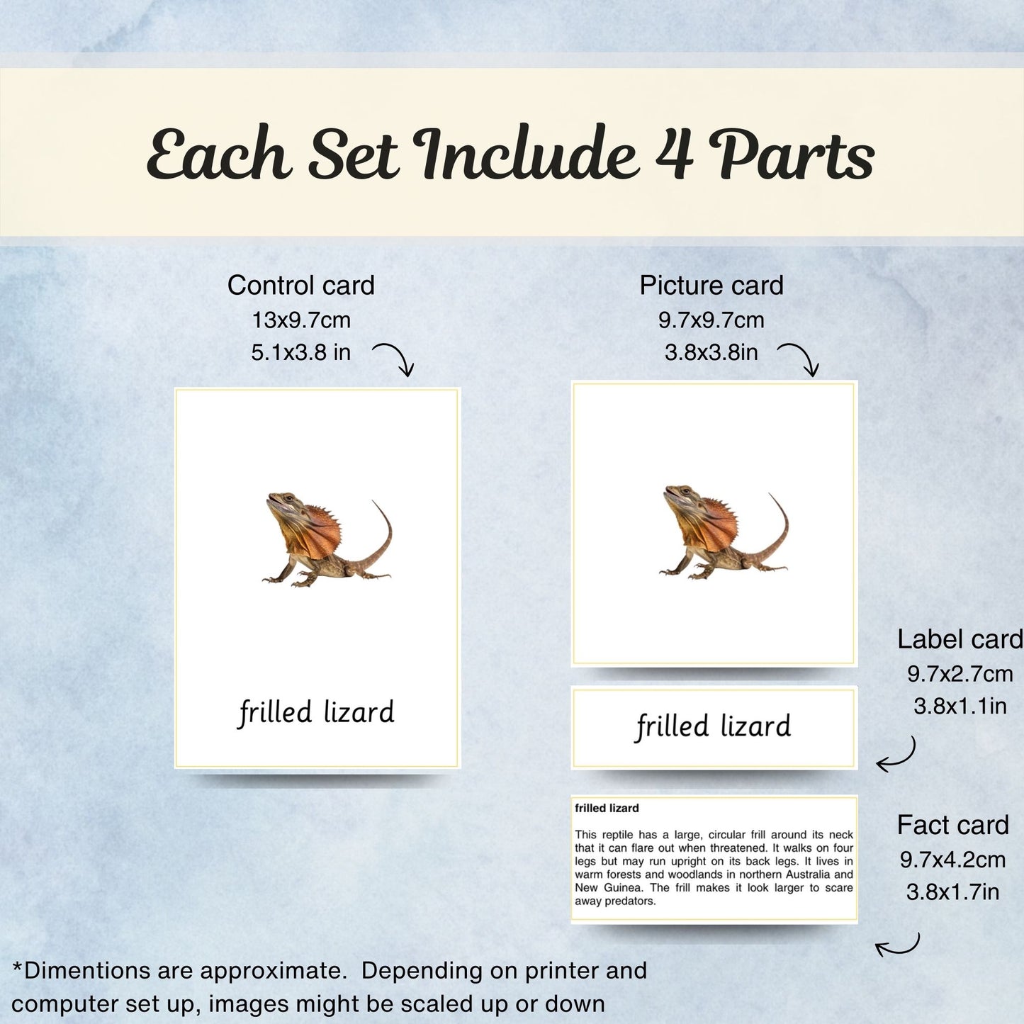 Australia / Australasia Animals Montessori 3 Part Cards | Digital Download | Printable