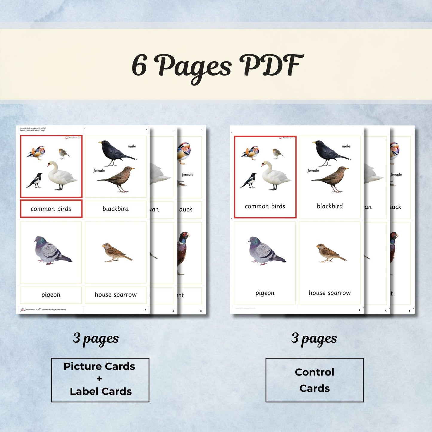 Common Birds Montessori 3 Part Cards | Digital Download | Printable