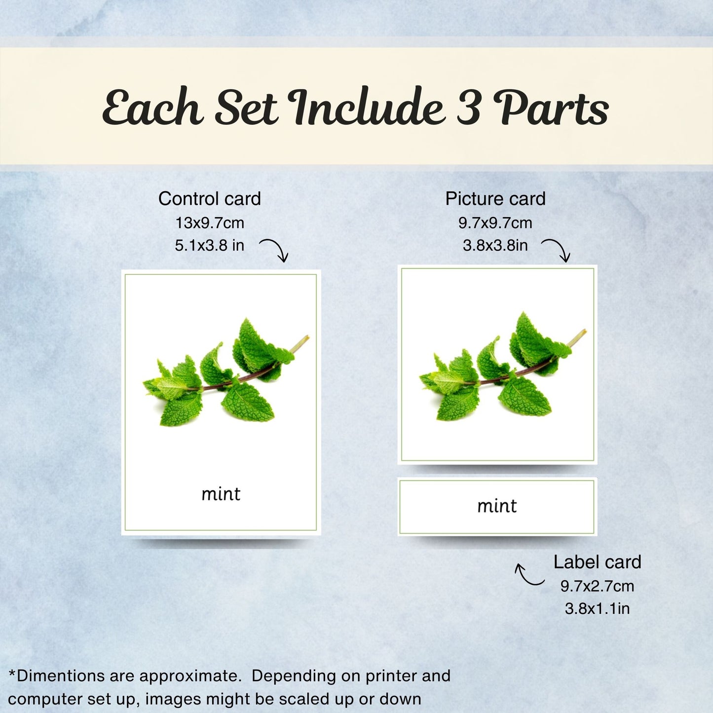 Kitchen Herbs and Spices Montessori 3 Part Cards with Fact Cards | Digital Download | Printable