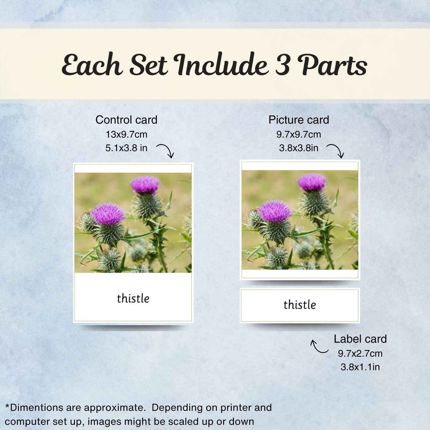 Wild Flowers Montessori 3 Part Cards with Fact Cards | Digital Download | Printable