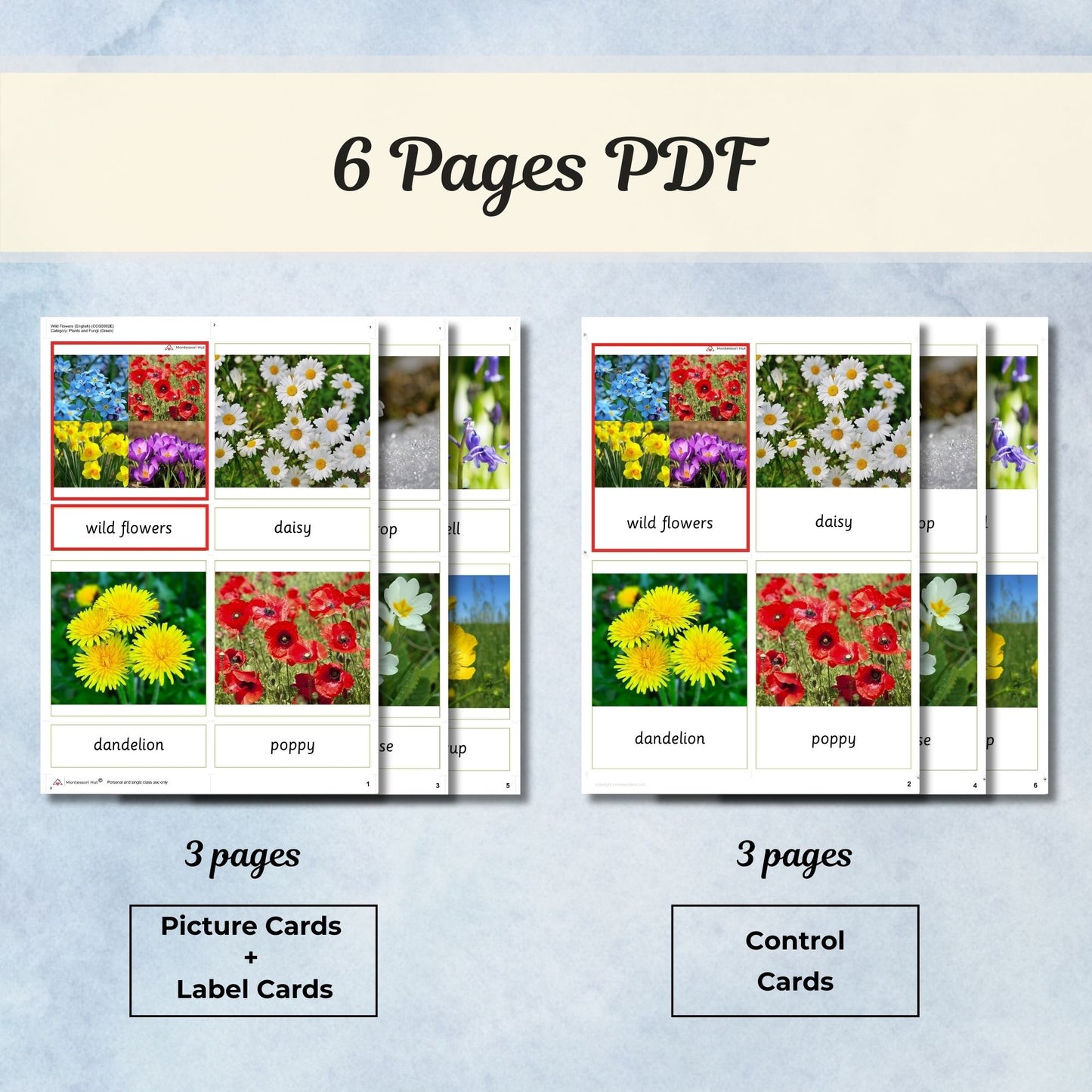 Wild Flowers Montessori 3 Part Cards with Fact Cards | Digital Download | Printable