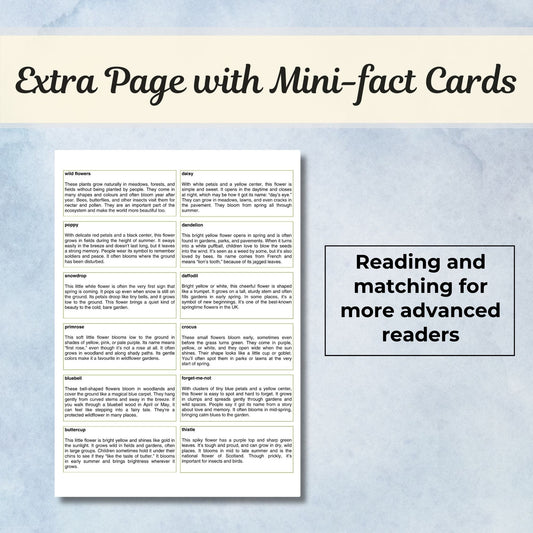 Wild Flowers Montessori 3 Part Cards with Fact Cards | Digital Download | Printable