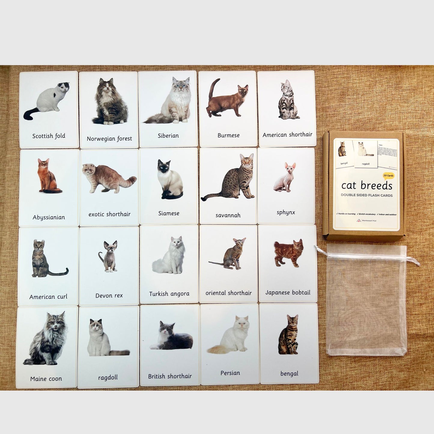 20 Cat Breeds Handmade Premium Vocabulary Cards with Facts - Educational Language Activity for Forest School, Montessori and Homeschools