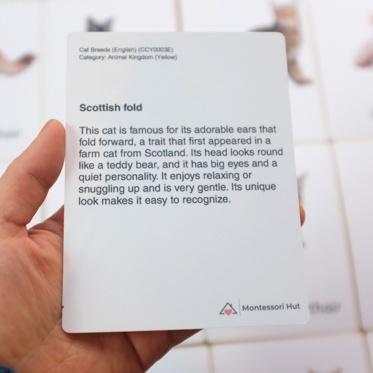 20 Cat Breeds Handmade Premium Vocabulary Cards with Facts - Educational Language Activity for Forest School, Montessori and Homeschools