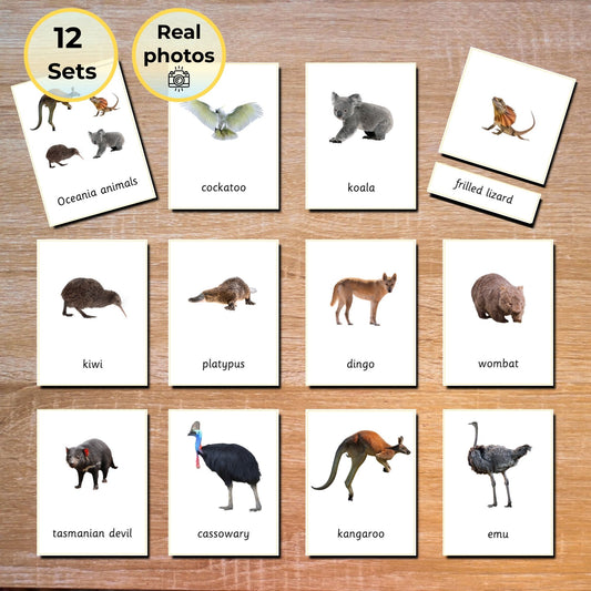 Oceania | Australia Animals Handmade Premium Montessori 3 Part Cards
