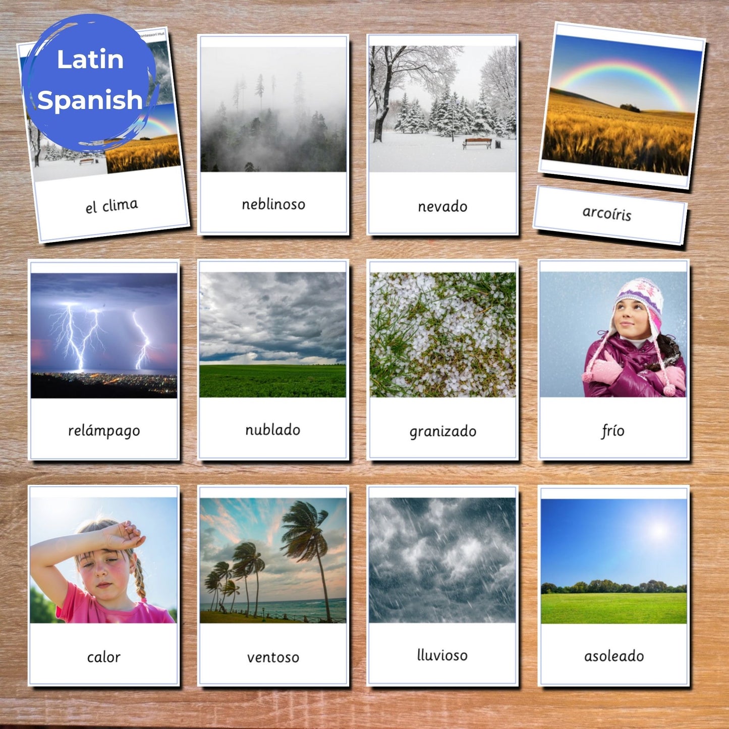 Weather Montessori 3 Part Cards Nomenclature - 12 Sets