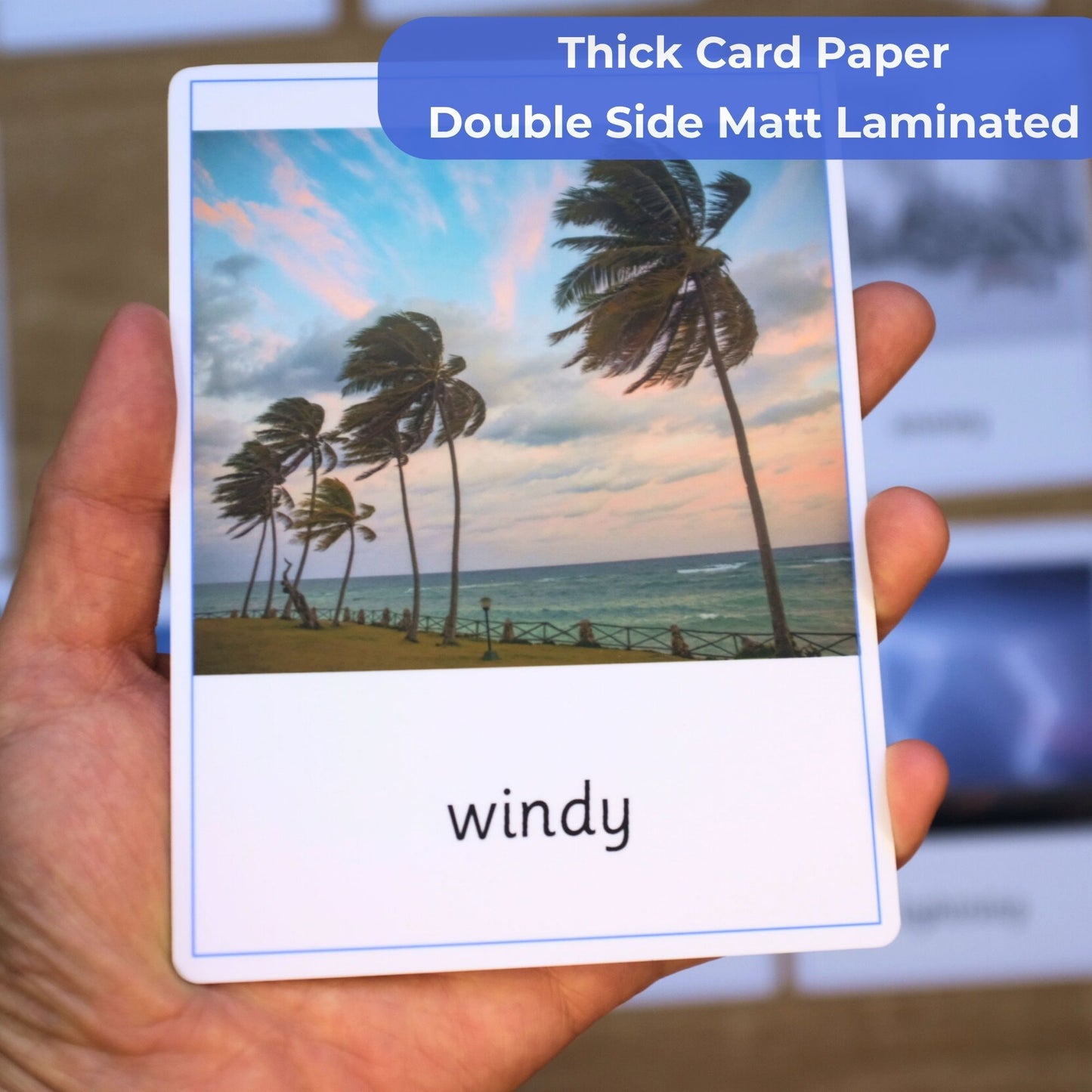 Weather Montessori 3 Part Cards Nomenclature - 12 Sets