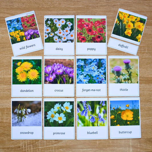 Wild Flowers Montessori 3 Part Cards - Handmade Premium Quality - Nomenclature Cards - 12 Sets