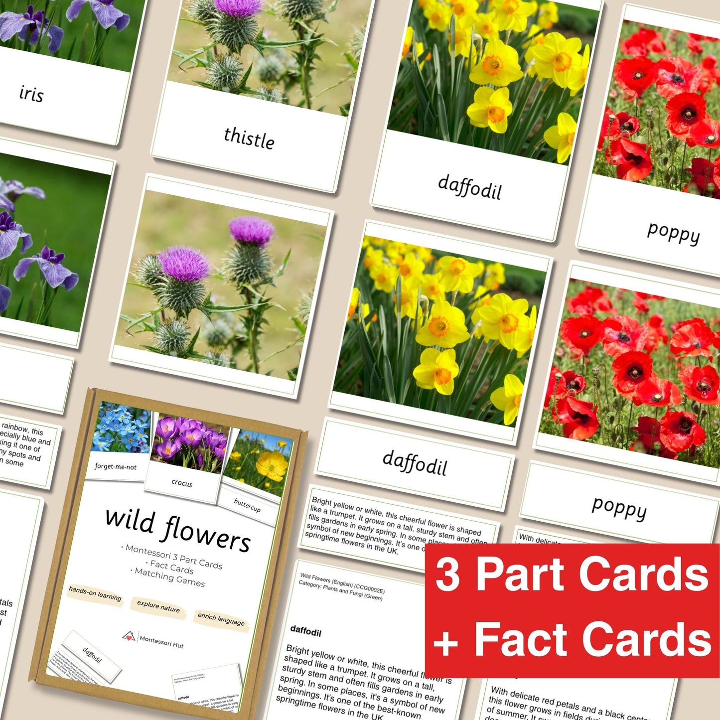 15 Wild Flowers Montessori 3-Part Cards with Fact Cards - Educational Language Activity for Forest School, Montessori and Homeschools