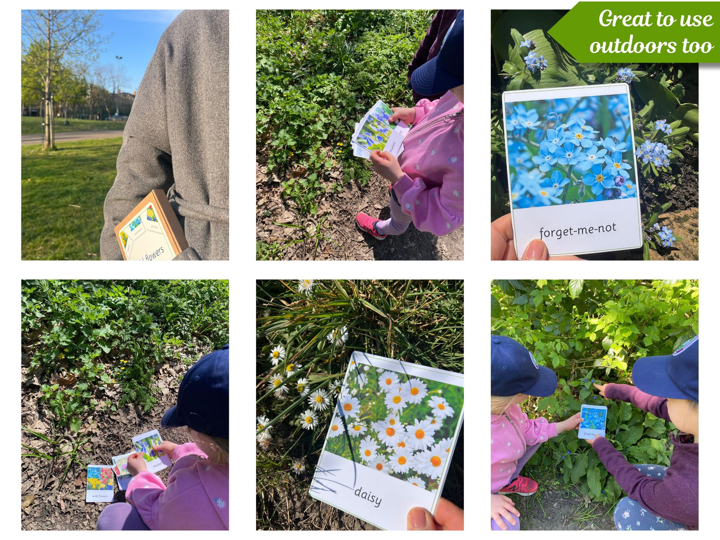 15 Wild Flowers Montessori 3-Part Cards with Fact Cards - Educational Language Activity for Forest School, Montessori and Homeschools