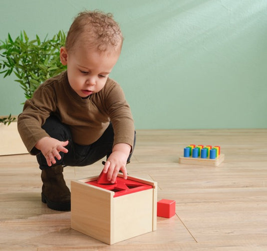 Shape Posting Box with Changeable Lids - Purple - From 14 months - SHIP FROM NETHERLAND TO UK AND EUROPE ONLY