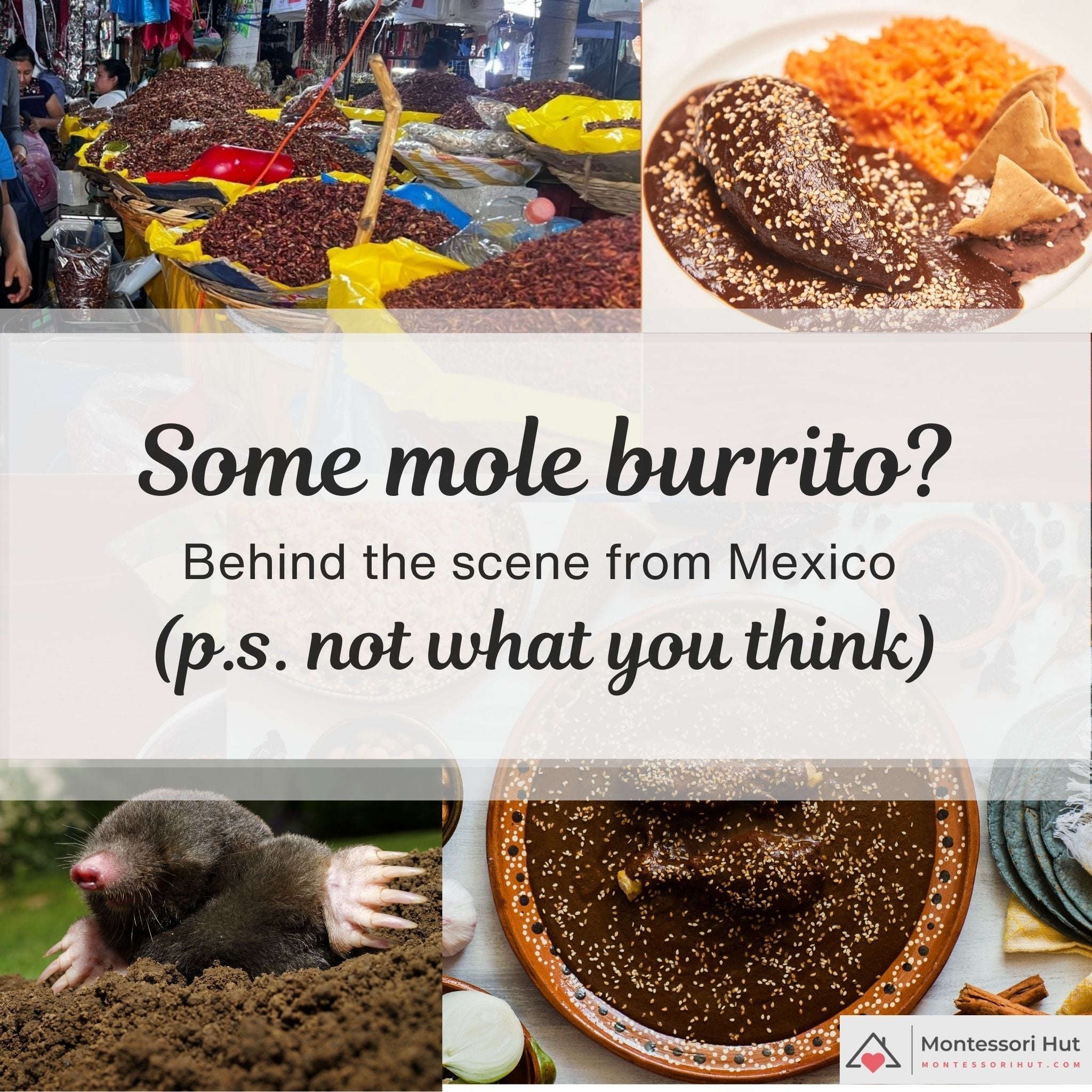 Mole burrito? Behind the scene from Mexico no.1 – Montessori Hut