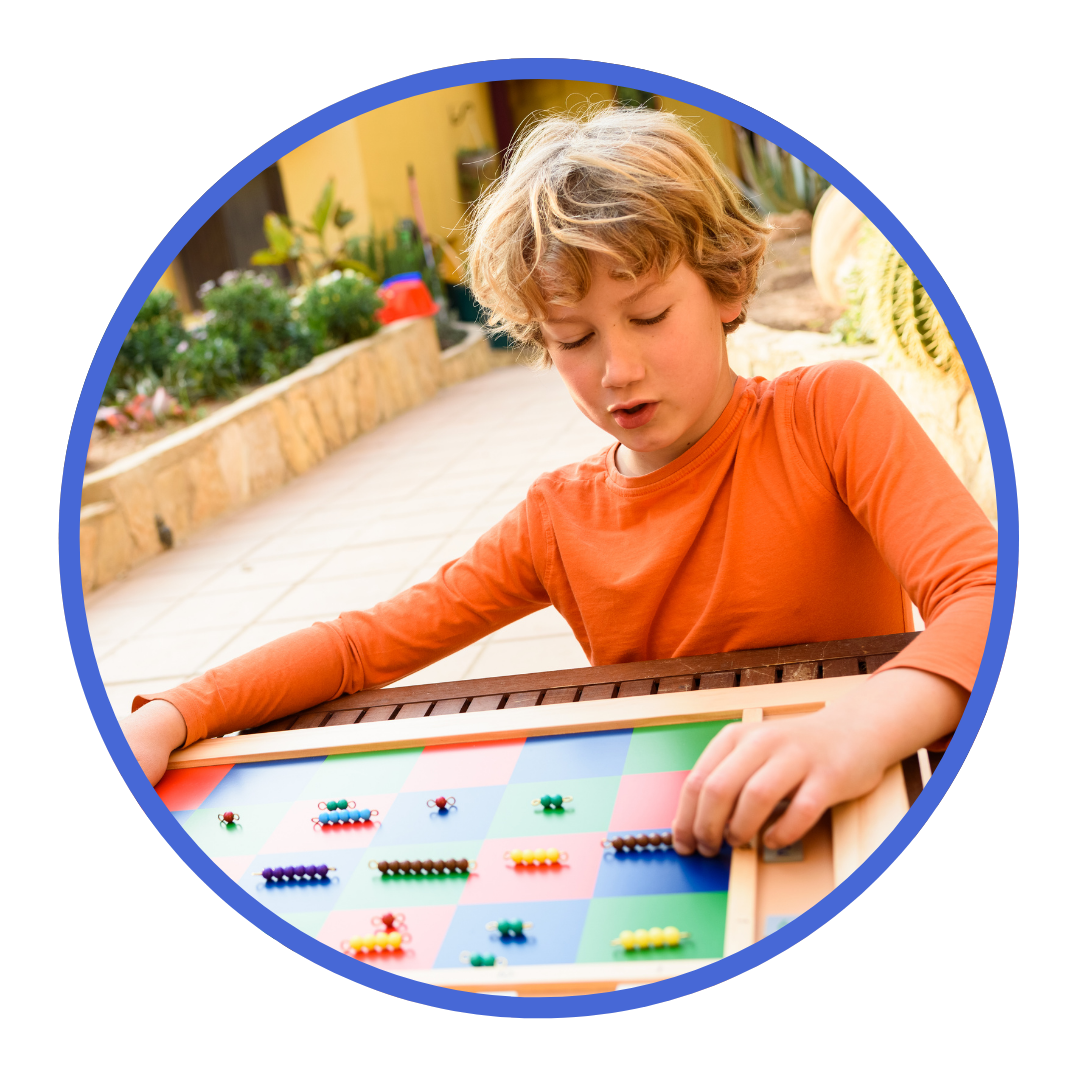 Elementary (6-12) Montessori Collections