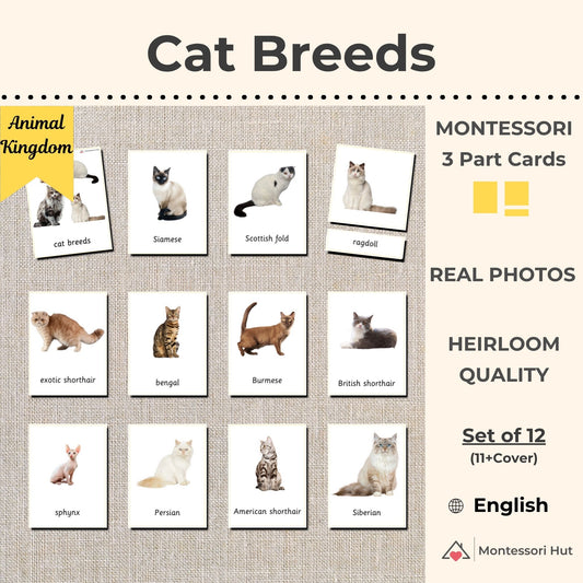 Cat Breeds Montessori 3 Part Cards - 12 Sets