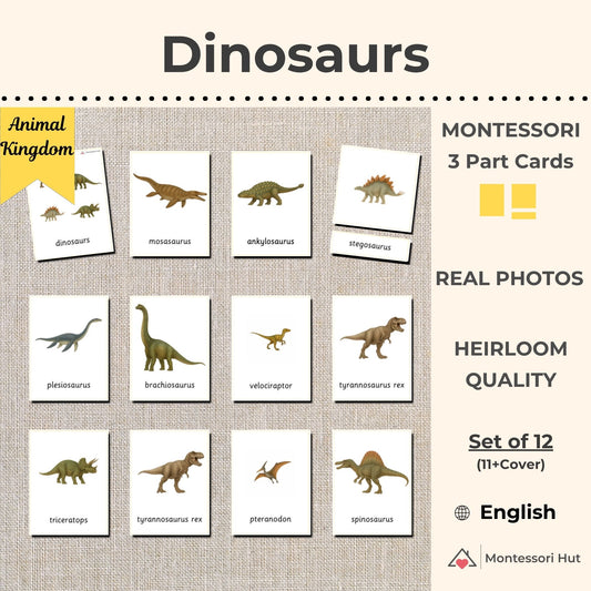 Dinosaurs Montessori 3 Part Cards - 12 Sets