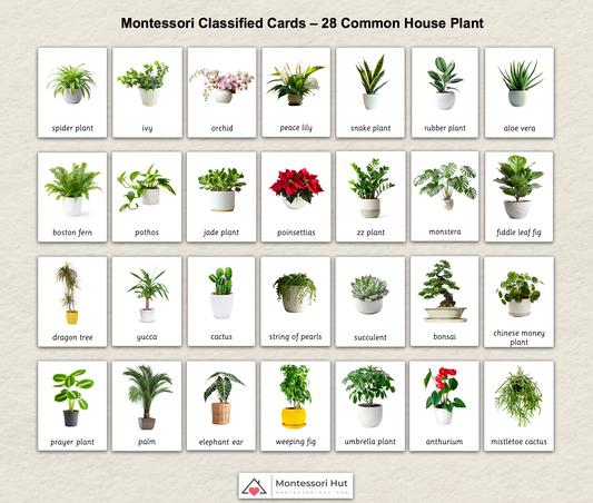 28 Common House Plants - Montessori 3 Part Cards - Classified Cards - Digital or Digital+Printed