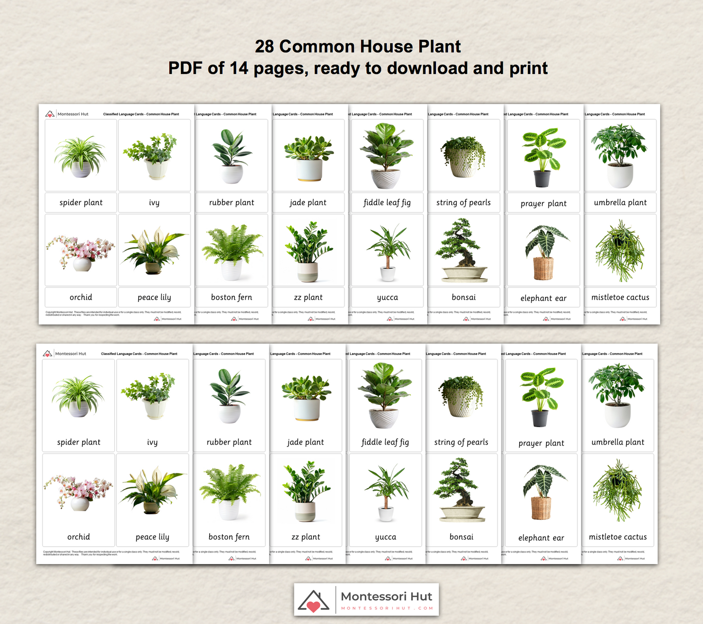 28 Common House Plants - Montessori 3 Part Cards - Classified Cards - Digital or Digital+Printed