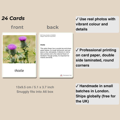 24 wild flower cards: front with photo and name, back with facts, with card size and quality notes