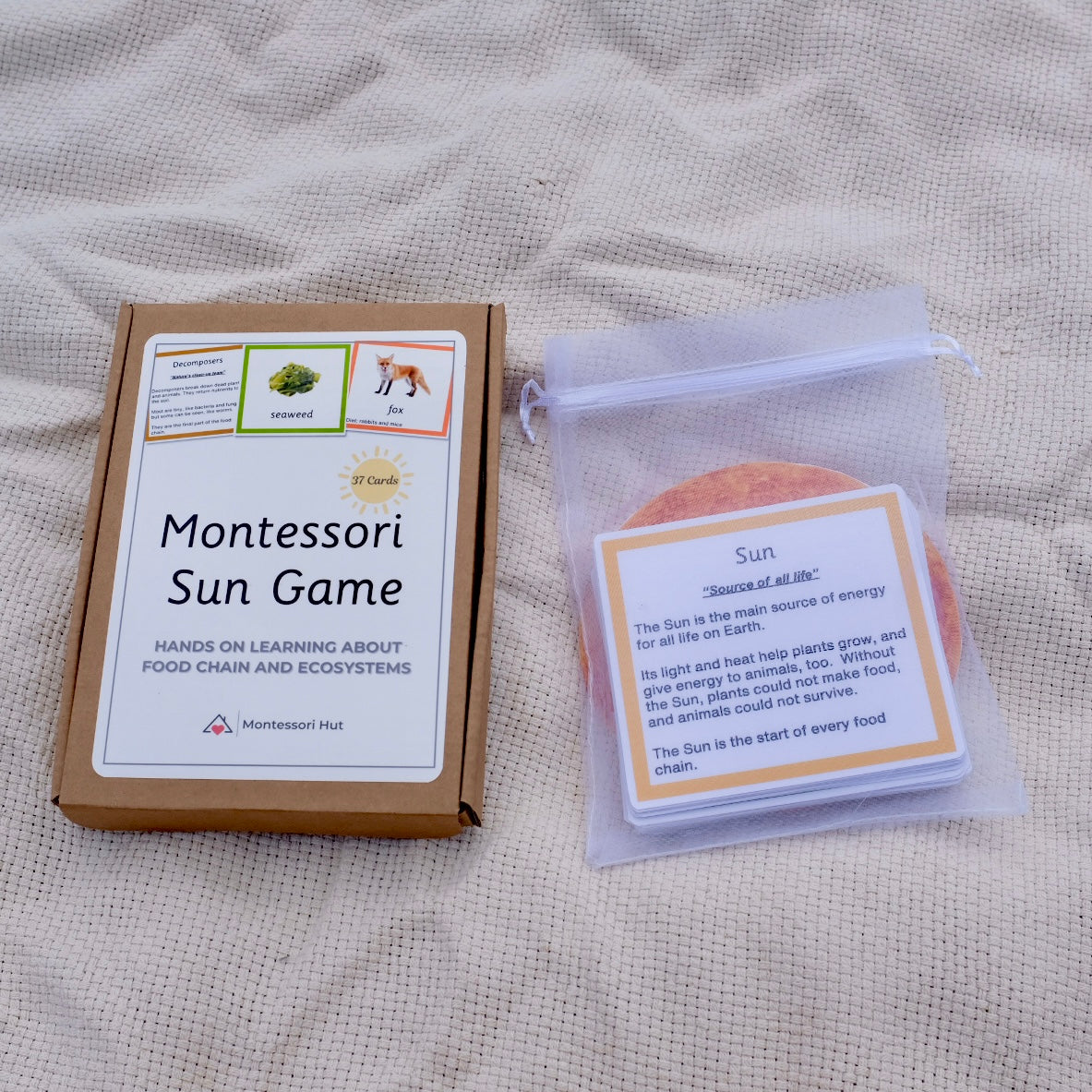 Montessori Sun Game – Food Chain and Ecosystem Learning Cards