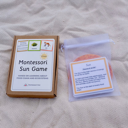 Montessori Sun Game – Food Chain and Ecosystem Learning Cards - Handmade Premium Quality