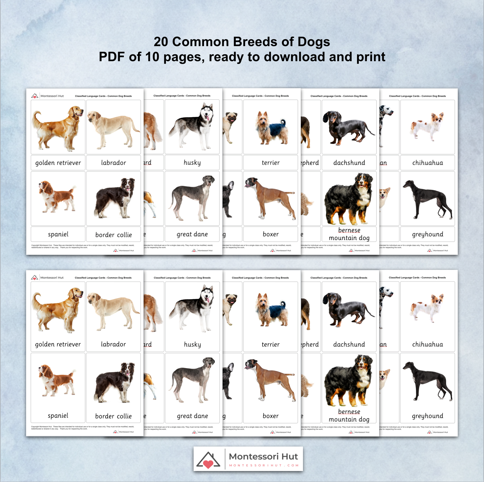 Breeds Chart Different Kinds Of Big Dogs Breed Chart Types Of Dogs