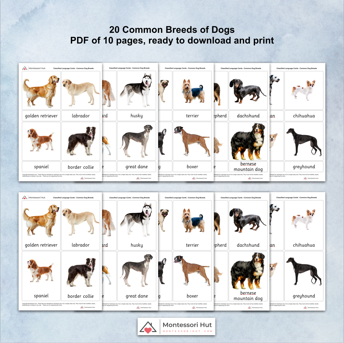 20 Common Dog Breeds - Montessori 3 Part Cards - Classified Cards - Digital Download or Digital + Printed