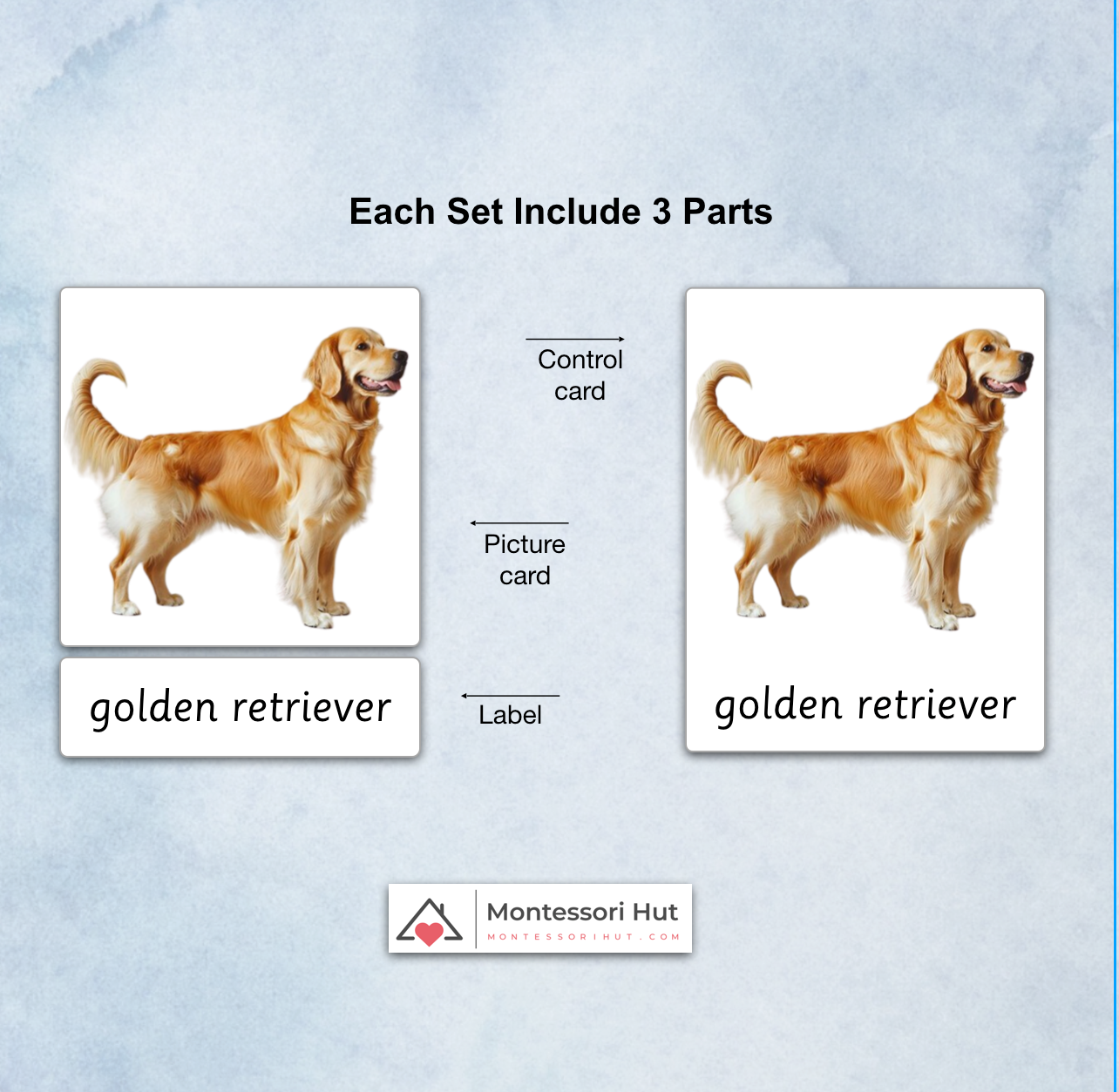 20 Common Dog Breeds - Montessori 3 Part Cards - Classified Cards - Digital Download or Digital + Printed