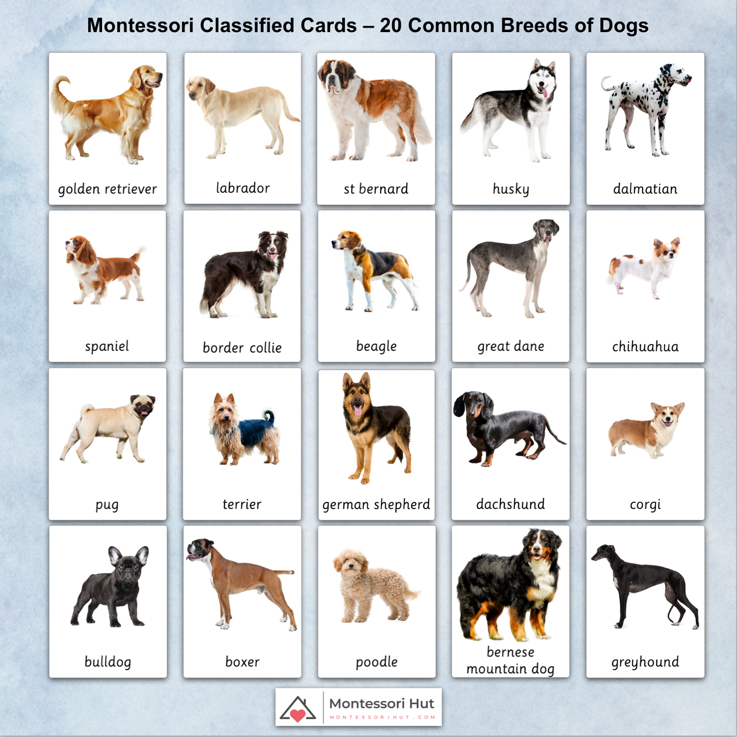 Dog Breeds Guide To Owning A Dog Breeds Buy Small Puppy Breeds