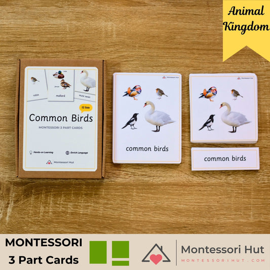 Montessori 3 Part Cards Nomenclature Cards for common birds on a wooden surface with 'Montessori Hut' branding.
