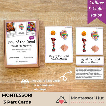 Montessori educational material on Day of the Dead with cards and fact cards on a wooden surface.