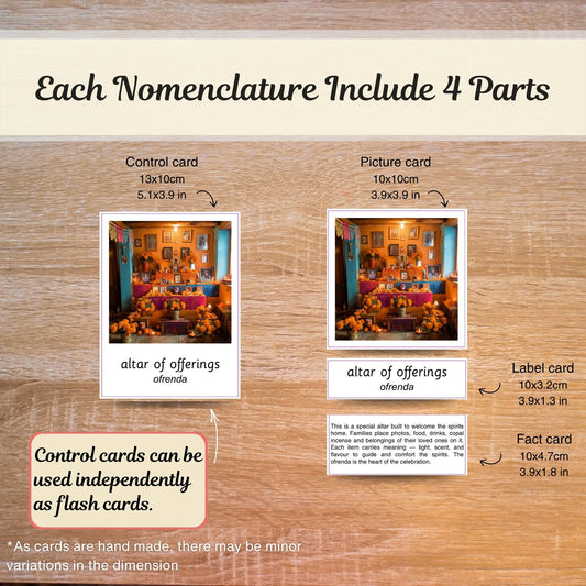 Educational card set with control, picture, label, and fact cards on a wooden surface.