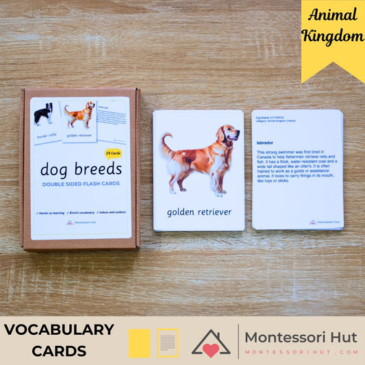 24 Dog Breeds Flash Cards with Facts - Educational Language Activity for Forest School, Montessori and Homeschools
